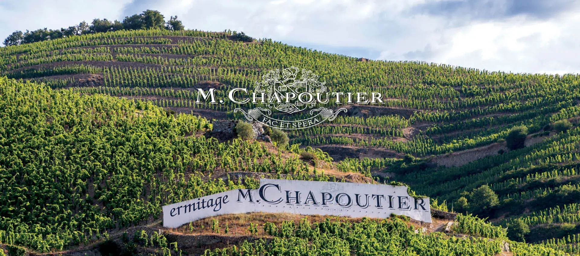 chapoutier vineyard