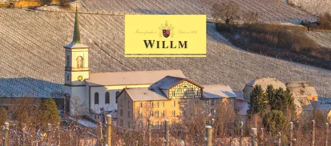 Alsace WillM